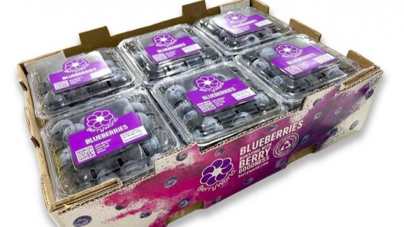 Grupo Agroberries anuncia la creación de BerryWorld Asia