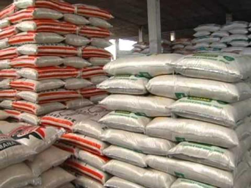 GRUPO CAMPOSUR COMERCIALIZARÁ  18 MIL  TONELADAS DE ARROZ PILADO ESTE AÑO