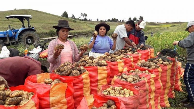 Grupo de Trabajo promoverá compras estatales de alimentos a la agricultura familiar