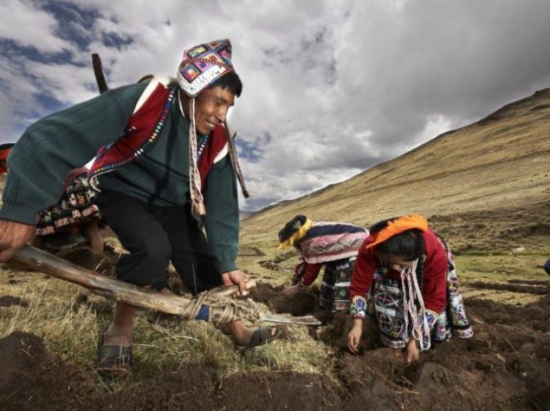 Guardianes de las semillas de América se pondrán a la vanguardia en materia de bancos de germoplasma