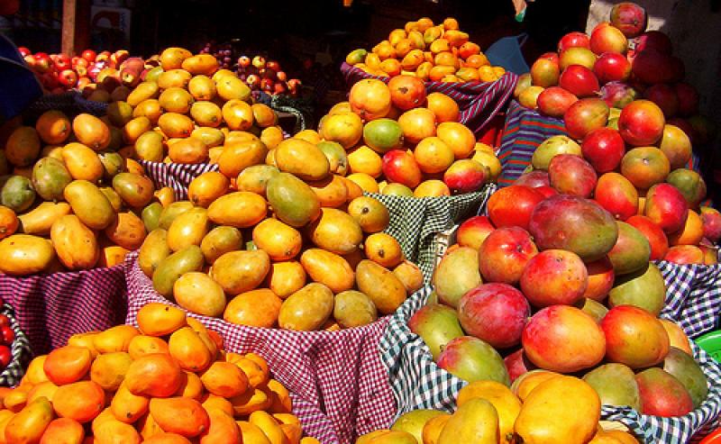 GUATEMALA EXPORTARÁ MANGOS A CHILE