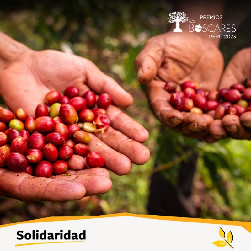 Héroes climáticos: Iniciativa ‘Asombrate’ paga a los productores cafetaleros por capturar carbono