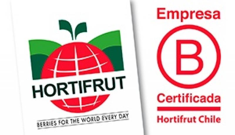 Hortifrut obtiene la certificación B Corp en todo el mundo