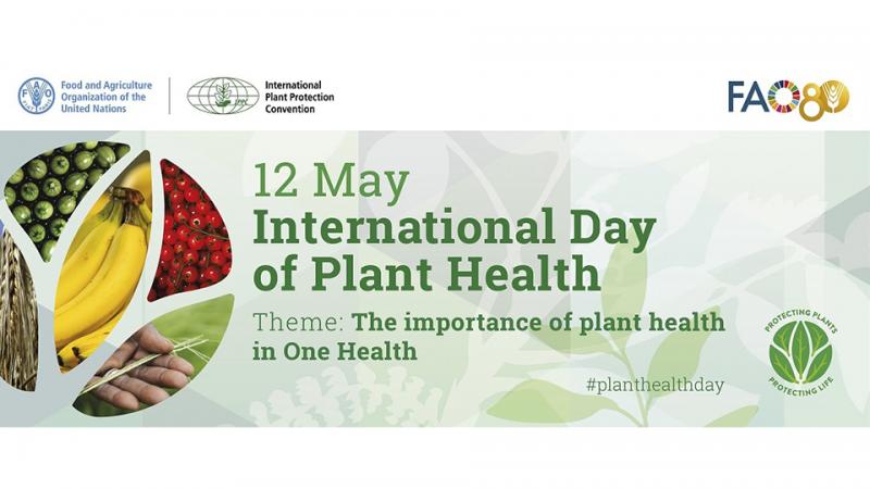 Hoy se conmemora el Día Internacional de la Sanidad Vegetal