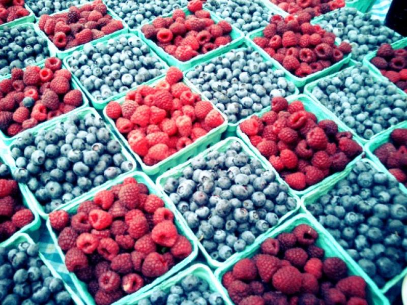 HOY SE INICIA EL V SEMINARIO INTERNACIONAL DE BERRIES Y CEREZAS