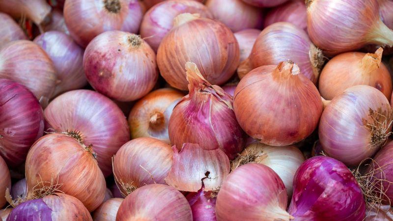 Ica lidera exportación de cebolla a Estados Unidos 