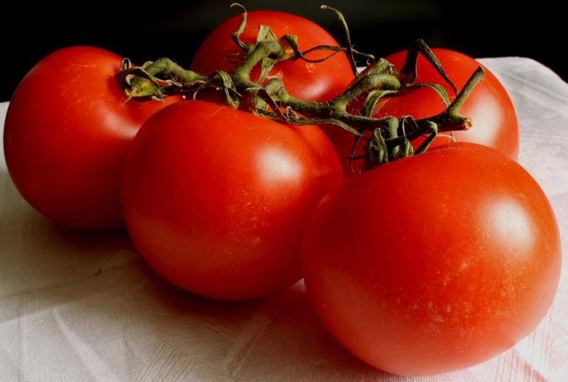 ICATOM PROYECTA PRODUCIR 12 MIL TM DE PASTA DE TOMATE 