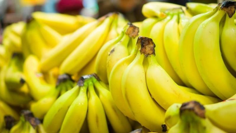 Importación de bananas por parte de la UE y Estados Unidos se ve amenazada por el cambio climático