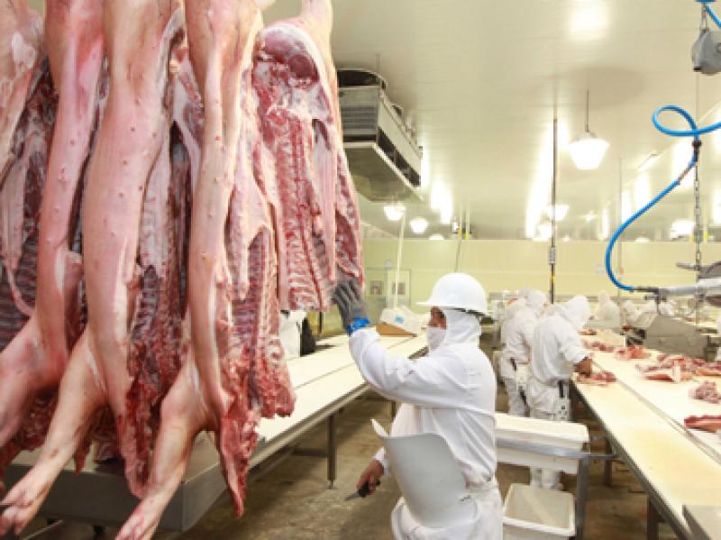 IMPORTACIONES DE CARNE DE CERDO CRECIERON 147% EN PRIMER SEMESTRE