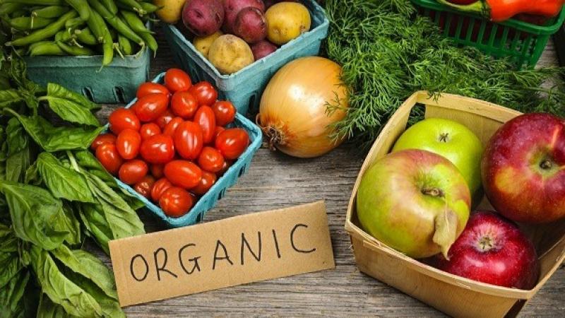 Importaciones orgánicas de Estados Unidos aumentaron a US$ 5.700 millones en 2024