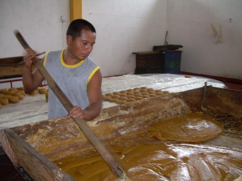 IMPULSAN PRODUCCIÓN DE PANELA EN ZONA ALTOANDINA  