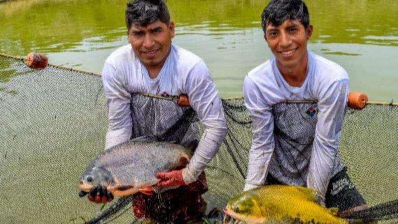 Impulsarán la acuicultura en la zona del VRAEM con nueva unidad técnica especializada