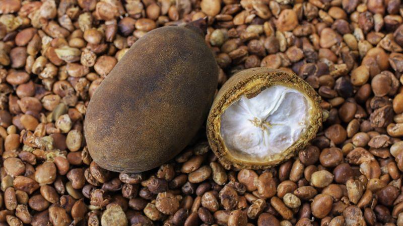 Inacal impulsa requisitos de calidad para la comercialización de los granos del copoazú