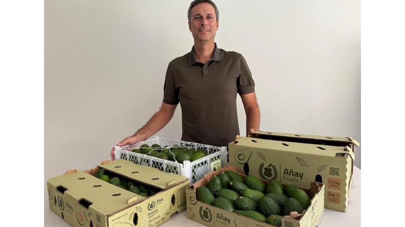 "Incluso con arancel, la palta peruana sigue siendo competitiva"