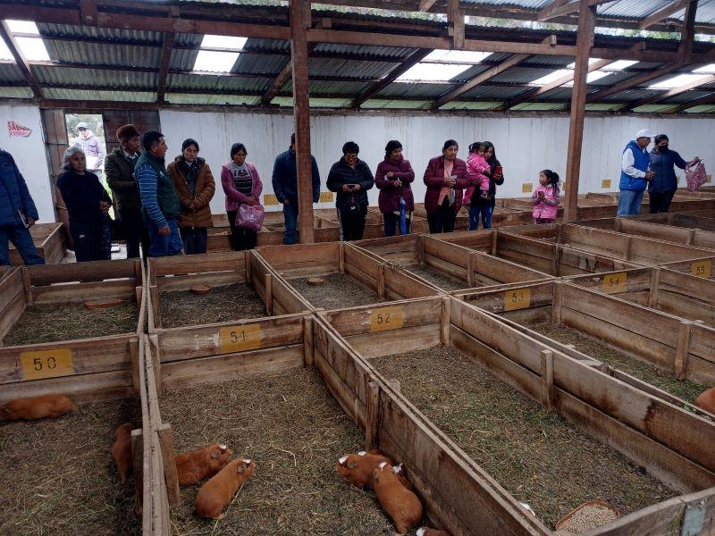 INIA capacita a productores de Junín en el mejoramiento genético del cuy