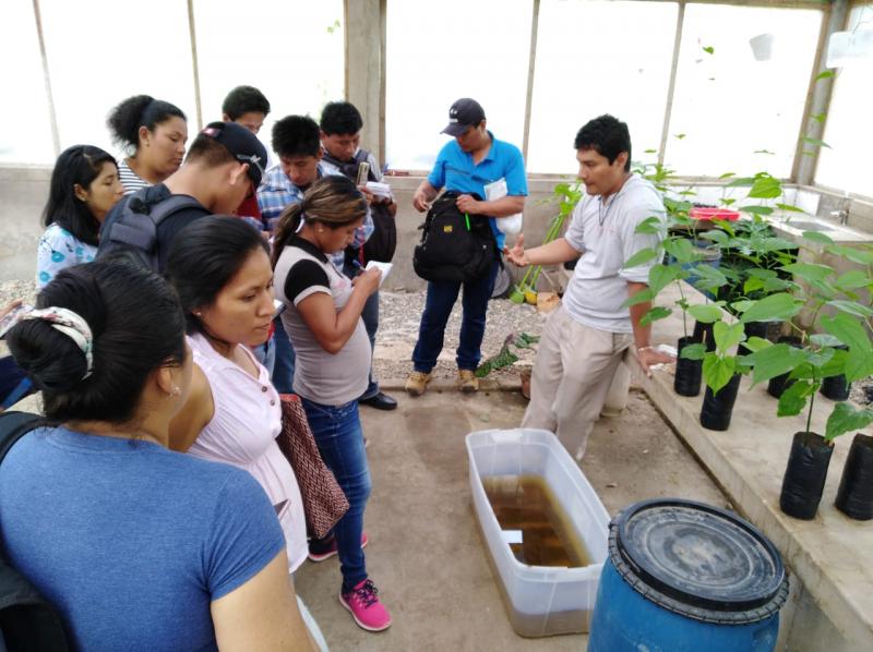 INIA capacita a técnicos de proyecto Haku Wiñay en métodos de abono para sacha inchi