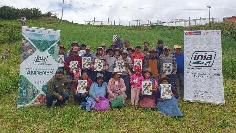 INIA fortalece ganadería con mejoramiento genético de pastos y forrajes de comunidad campesina de Cusco