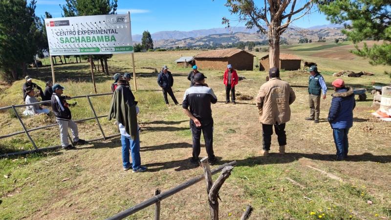INIA incrementará semillas de papa, quinua y avena forrajera con calidad para Ayacucho