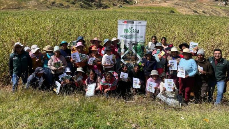 INIA mejora cultivo de tarwi con tecnología de alto rendimiento en Junín