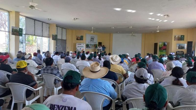 INIA transfiere tecnologías para conservar la producción de arroz ante presencia de fenómeno de El Niño