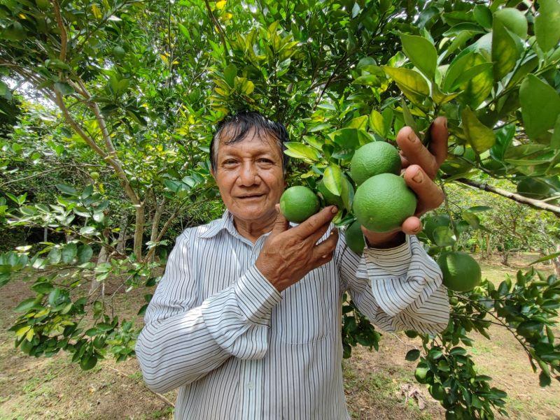Inicia campaña de exportación de cítricos en seis regiones con el objetivo de superar las 256 mil toneladas del ciclo anterior