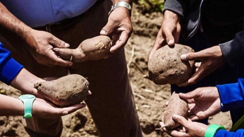 InnovaSuyu impulsará estrategias de innovación en sectores productivos de 13 regiones