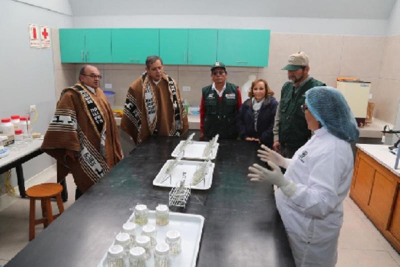 Investigación de INIA se complementará con Autoridad Nacional en Semillas
