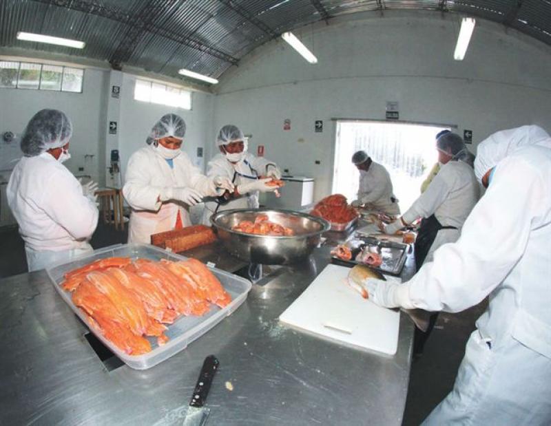 INVITAN A EMPRESARIOS COLOMBIANOS A INVERTIR EN AGROINDUSTRIA PERUANA