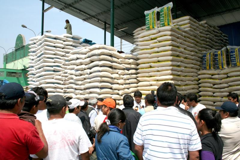IV Censo Nacional de Arroz  se realiza esta semana en 15 regiones del país