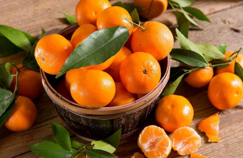 Japón abrió su mercado para la mandarina satsuma procedente de Perú