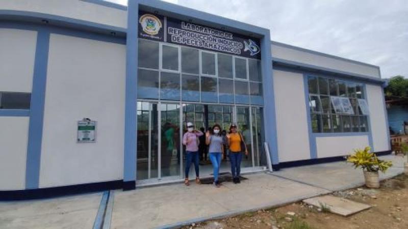 Junín: crean primer centro de reproducción de alevinos de peces amazónicos en Satipo