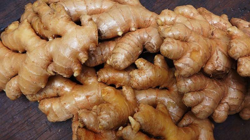 Kión y pitahaya podrían ser las próximas estrellas de la agroexportación peruana