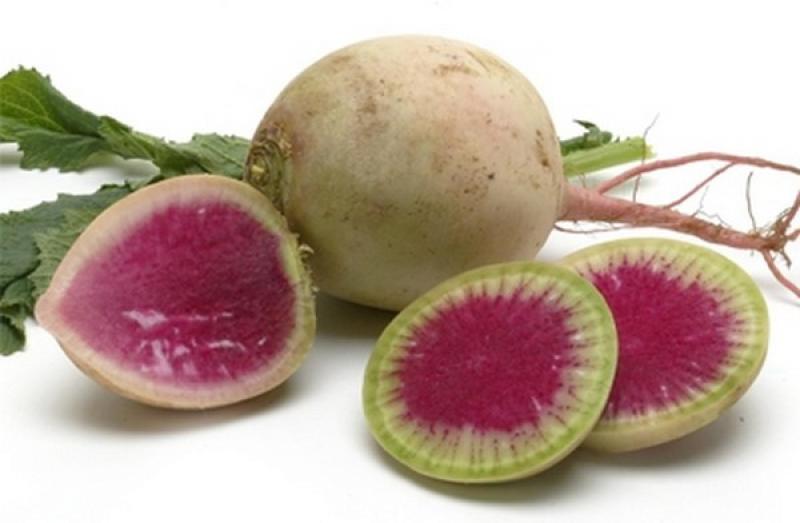 La demanda de rábanos sandía sigue creciendo en Estados Unidos