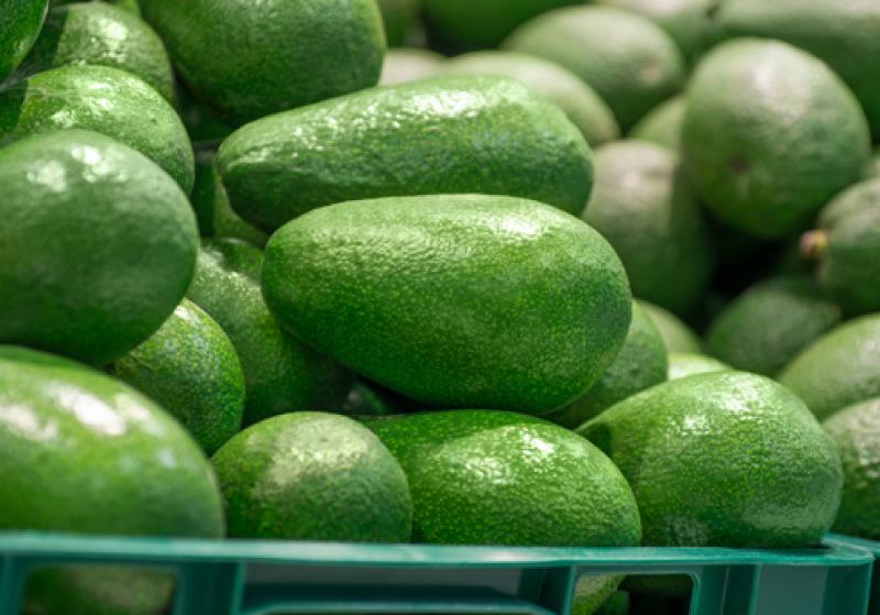 La diversificación de mercados debe acompañar el incremento de la oferta agroexportadora