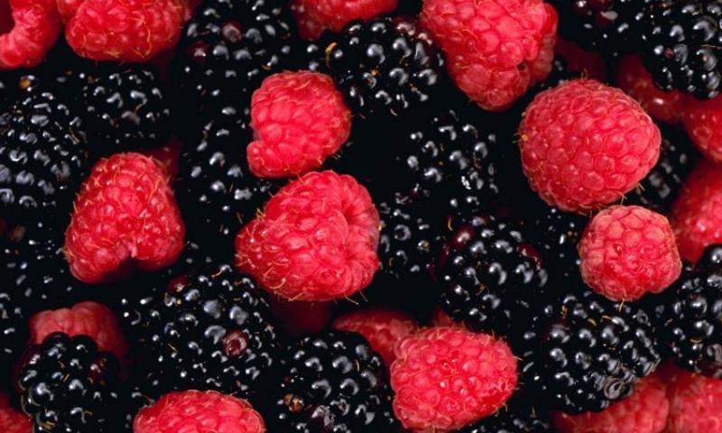La frambuesa, mora y cereza son los próximos pasos en la ruta de los berries peruanos