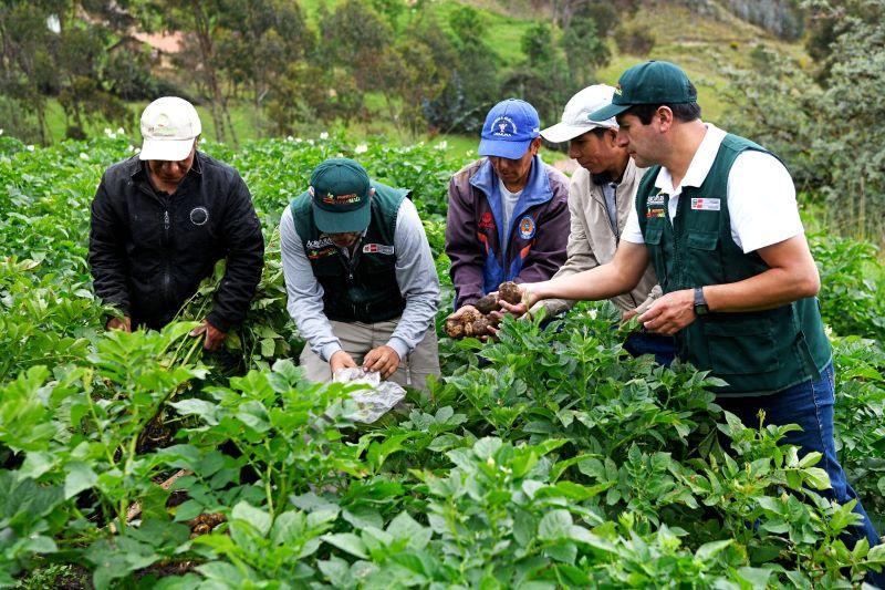 La Libertad: Destinan cerca de S/ 860 mil para la inclusión de pequeñas organizaciones productoras a mercados regionales