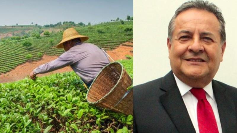 La pequeña agricultura: motor de transformación y desarrollo rural en el Perú