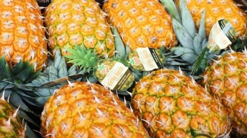 La piña es una oportunidad estratégica para diversificar la agroexportación peruana