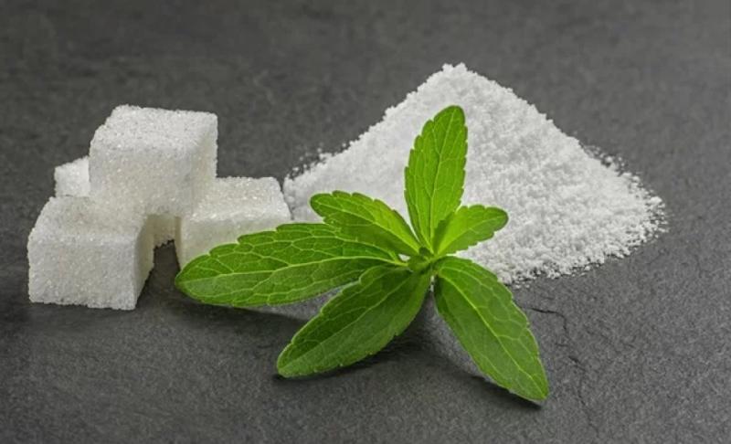 La Stevia impulsa el desarrollo agrícola en Lancones, Piura