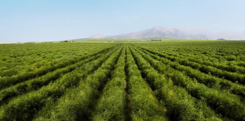 La verdadera reforma agraria