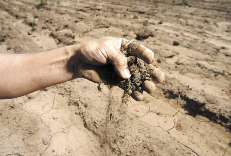 LAMBAYEQUE: SEQUÍA GENERARÍA PÉRDIDAS POR US$297 MILLONES EN AGROEXPORTACIONES 