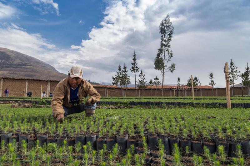 Lanzan fondos para financiar proyectos innovadores sobre agricultura sostenible