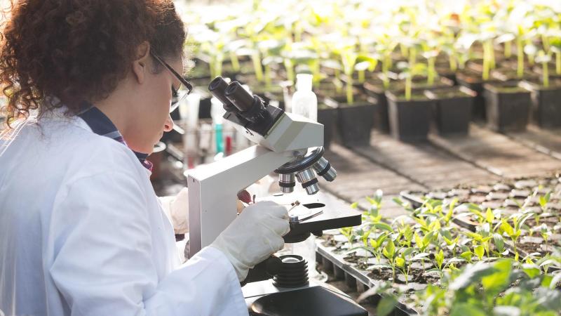 Las tecnologías agrícolas digitales crecen tres veces más rápido que la media ante el reto cada vez mayor de la seguridad alimentaria mundial