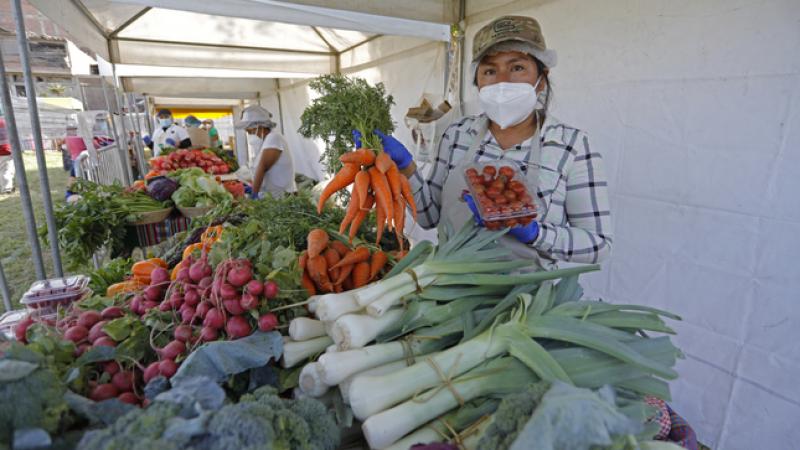 Ley de compras estatales a la agricultura familiar tiene mínima implementación y enormes desafíos