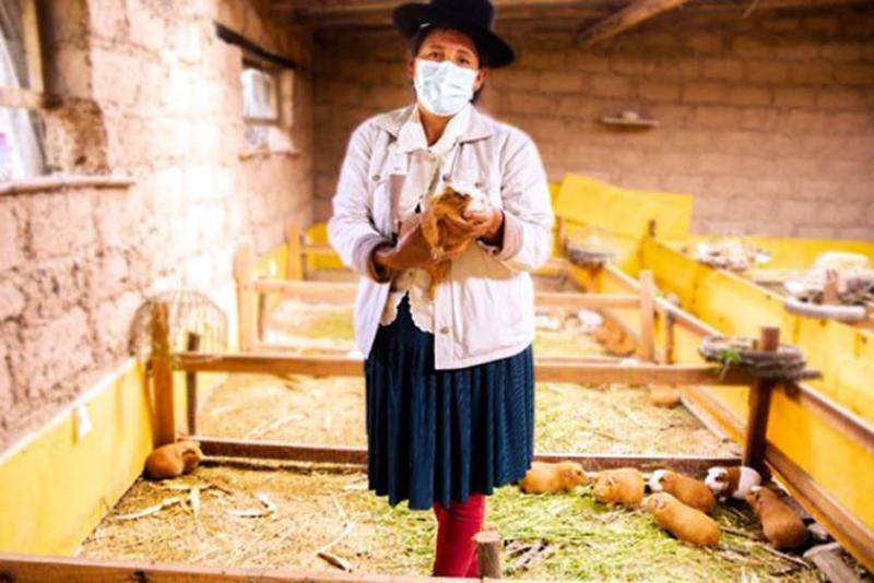 Ley de Reconversión Productiva permitirá ejecución de proyectos en materia pecuaria