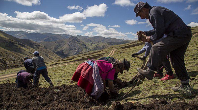 Limitar propiedad de la tierra aumentará la informalidad en sector agrario
