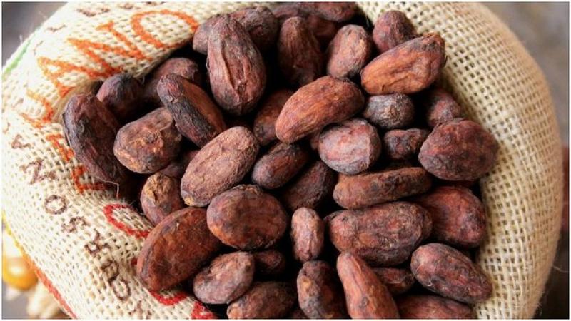 Los alimentos que puedan demostrar que fueron hechos de manera sostenible tienen mayor potencial comercial