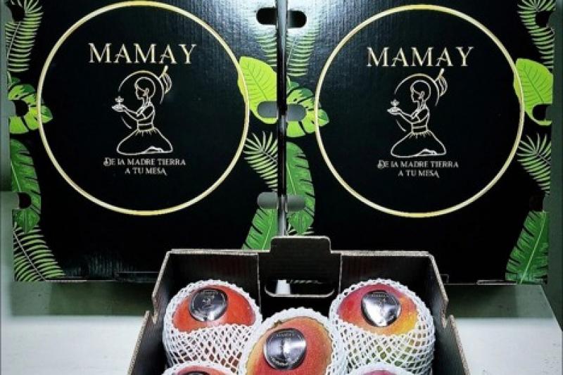 "Los mercados están pagando de seis a diez veces más por los mangos que la temporada pasada"