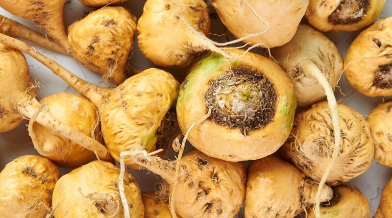 Maca peruana llegó a 31 países en marzo de 2025