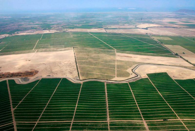 Majes Siguas: oportunidad de oro para una Arequipa agroexportadora